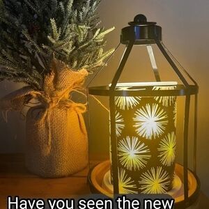 Pink Zebra Black and Gold New Year's Starburst Simmer Light